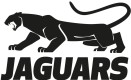 Jyväskylä Jaguars