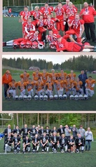 SM-kultaa Helsinki Roosters, SM-hopeaa Oulu Northern Lights, SM-pronssia Helsinki 69ers.